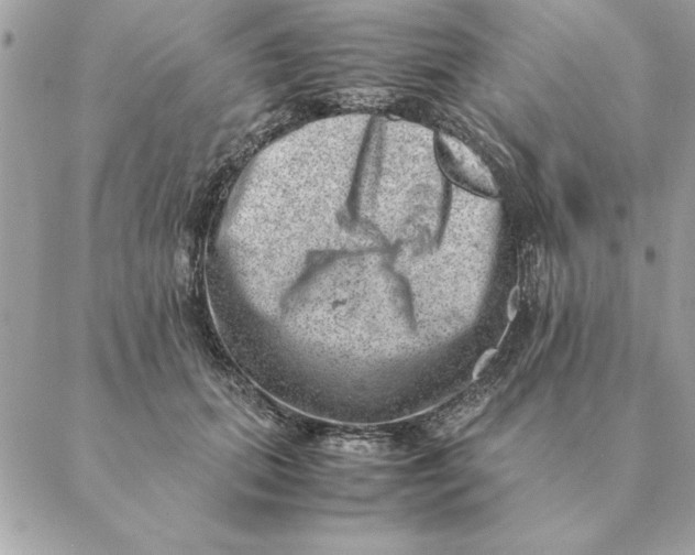 X0000088600655200706151802