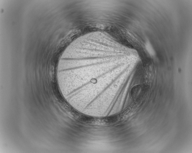 X0000088600656200706151802