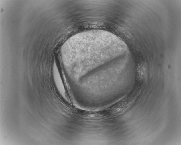 X0000088600657200706151802