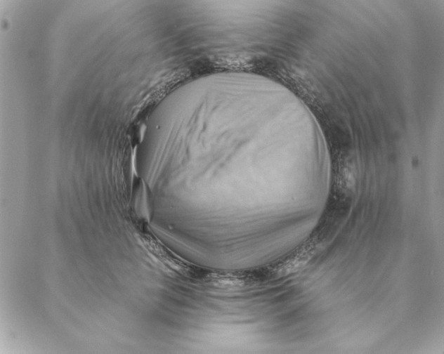 X0000088600658200706151802