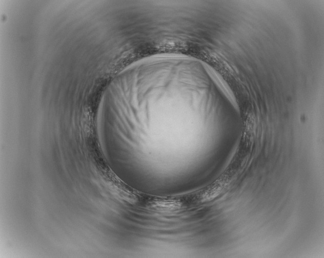 X0000088600659200706151802