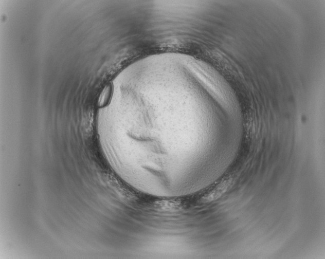 X0000088600660200706151802