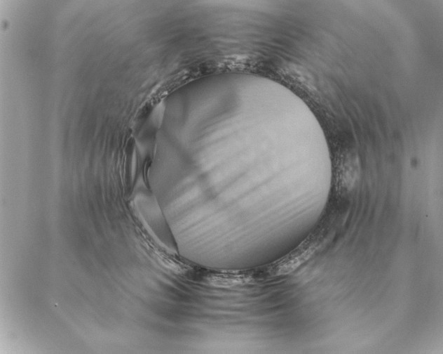 X0000088600661200706151802