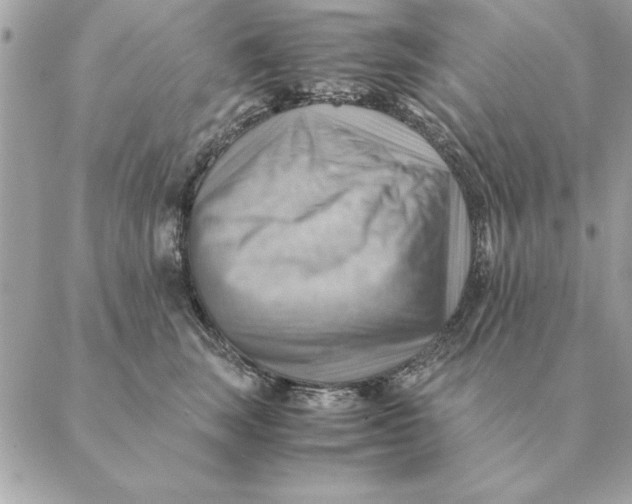 X0000088600663200706151803