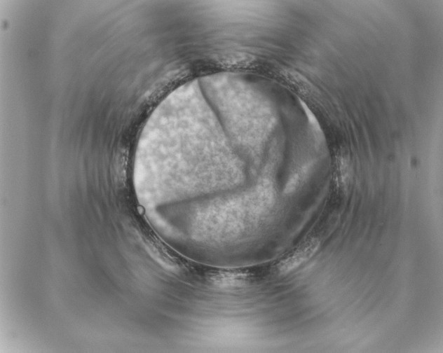 X0000088600664200706151803