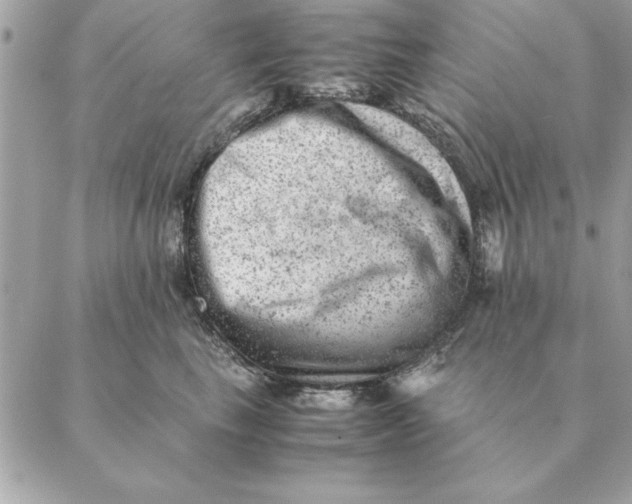 X0000088600665200706151803