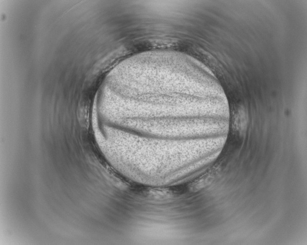 X0000088600666200706151803