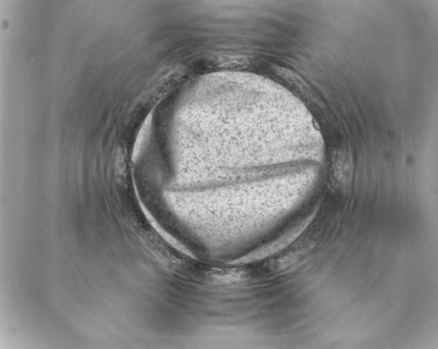 X0000088600667200706151803