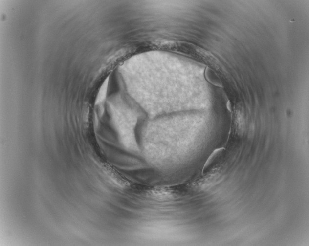 X0000088600668200706151803