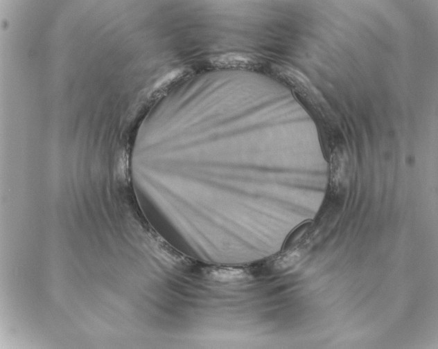 X0000088600669200706151803