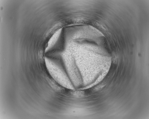 X0000088600670200706151803