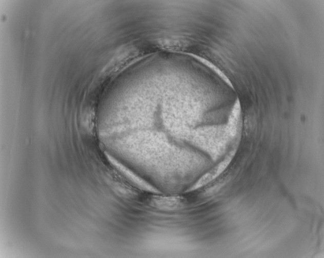 X0000088600671200706151803