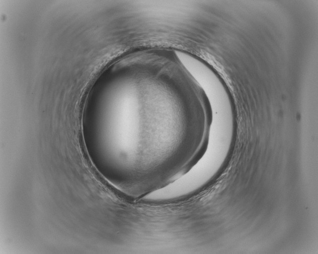 X0000088600673200706151802