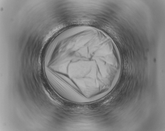 X0000088600674200706151802