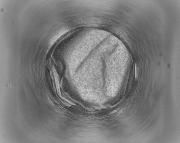 X0000088600675200706151802