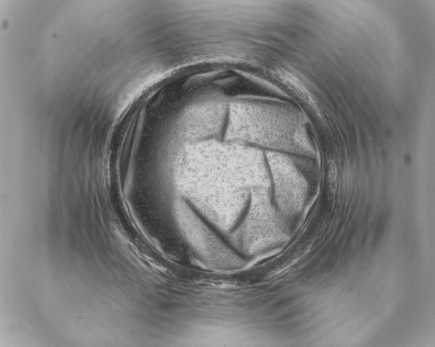 X0000088600676200706151802