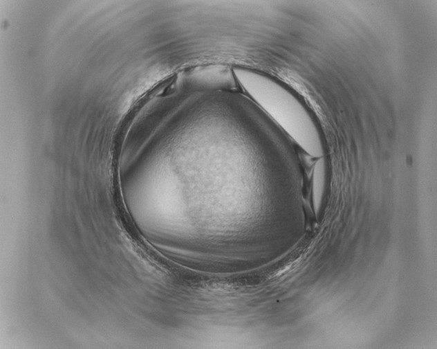 X0000088600677200706151802