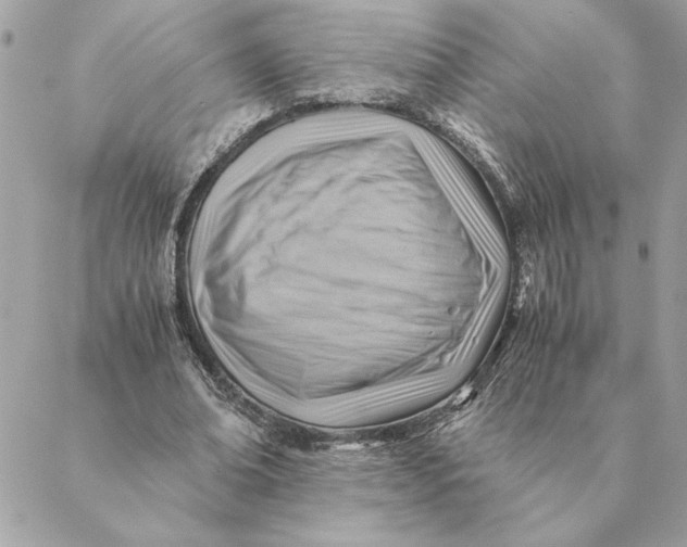 X0000088600678200706151802