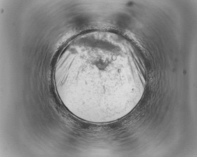 X0000088600679200706151802