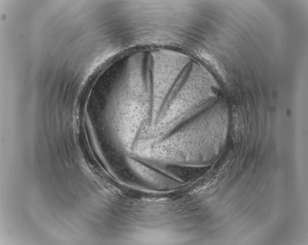 X0000088600680200706151802