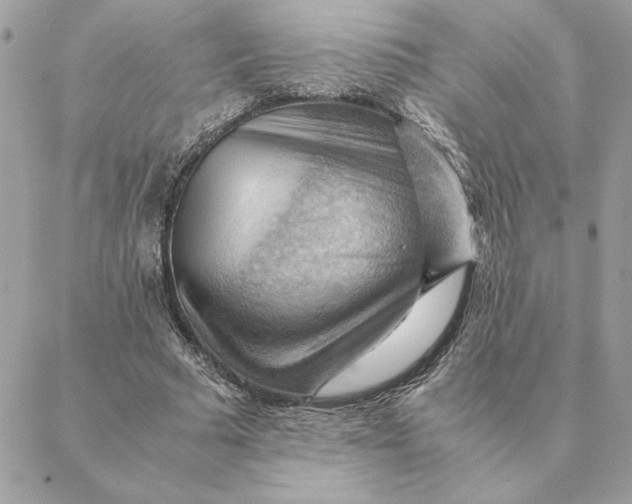 X0000088600681200706151802