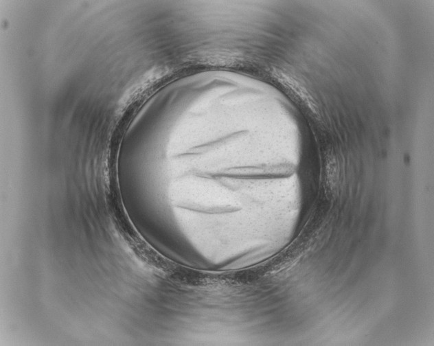 X0000088600682200706151802