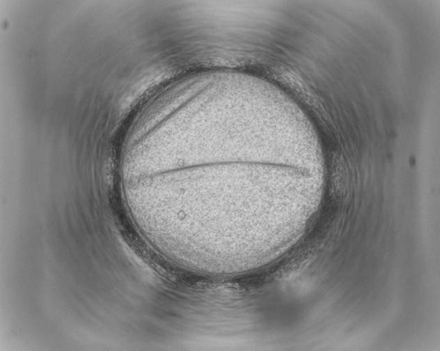 X0000088600683200706151802