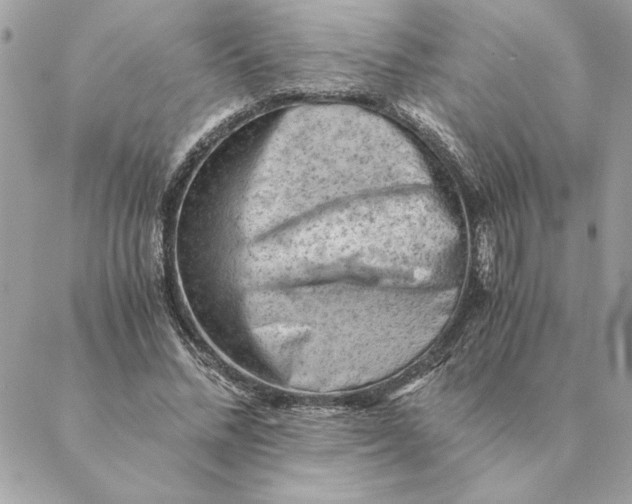 X0000088600684200706151802