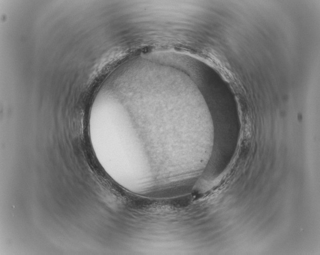 X0000088600685200706151802