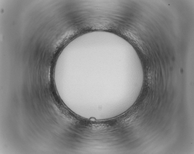 X0000088600686200706151802