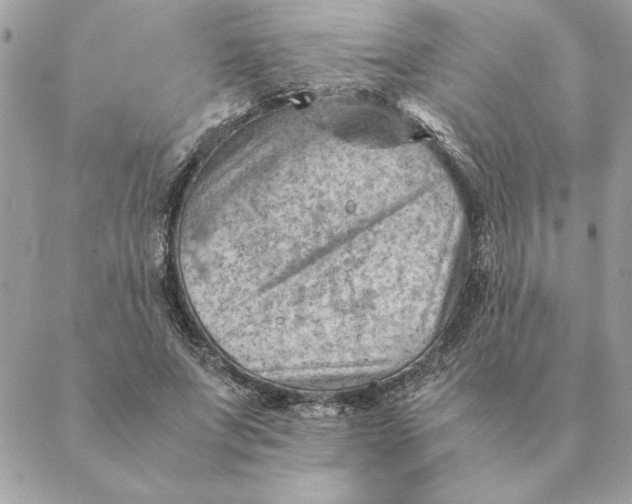 X0000088600687200706151802