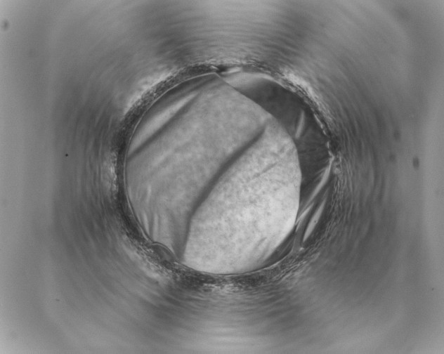 X0000088600688200706151802