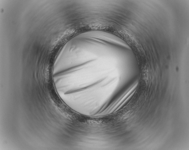 X0000088600690200706151802