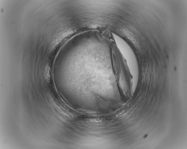 X0000088600692200706151802