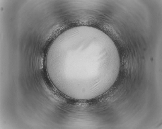 X0000088600694200706151802