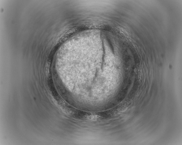 X0000088600695200706151802