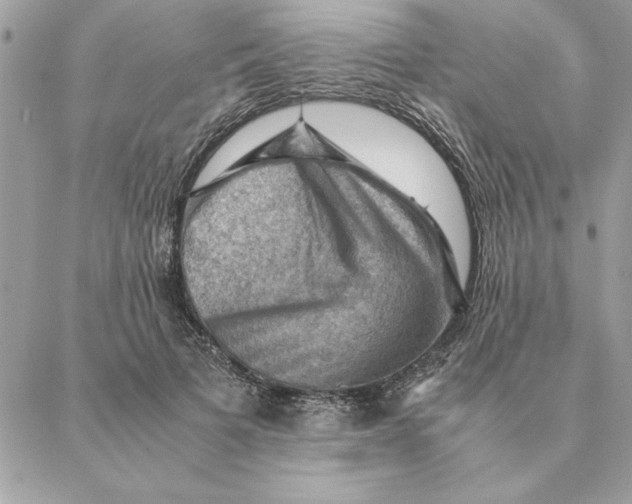 X0000088600697200706151802