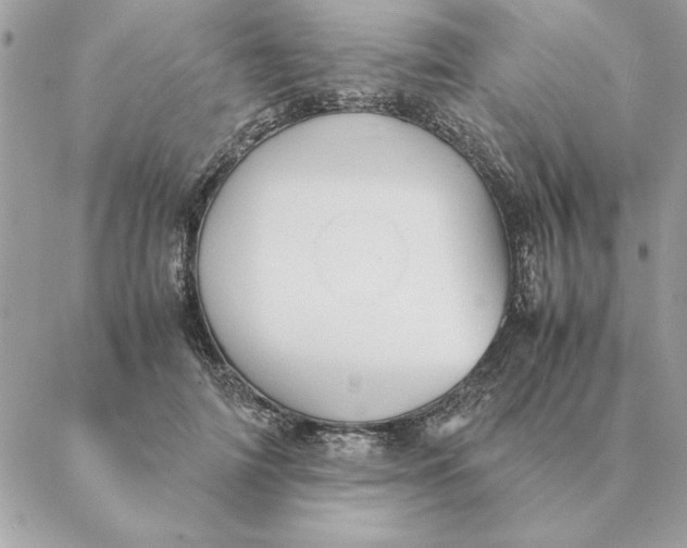 X0000088600698200706151801