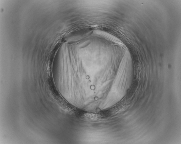 X0000088600699200706151801