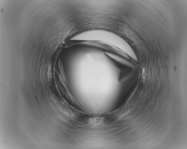 X0000088600700200706151801