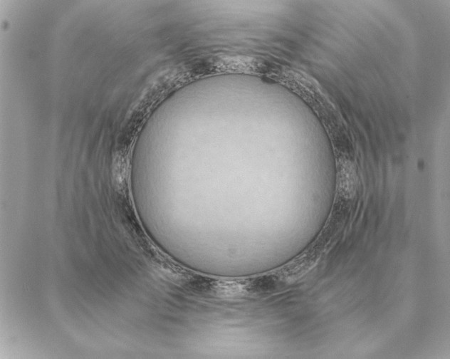 X0000088600701200706151801