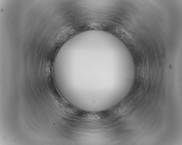 X0000088600702200706151801