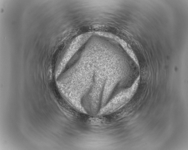 X0000088600703200706151801