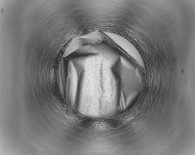 X0000088600704200706151801