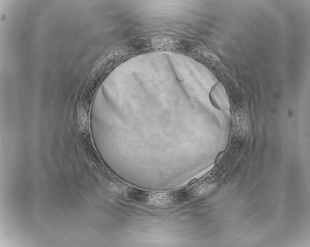 X0000088600705200706151801