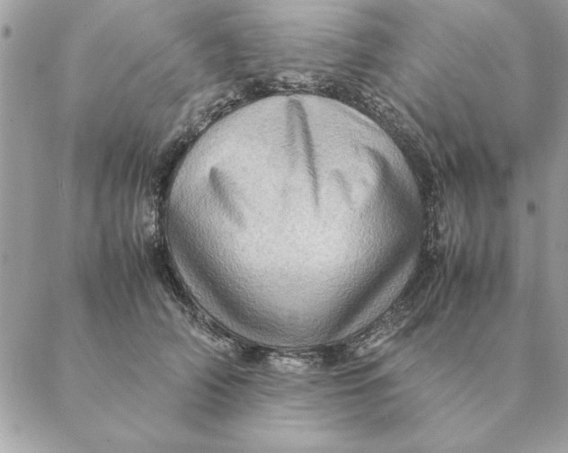 X0000088600706200706151801