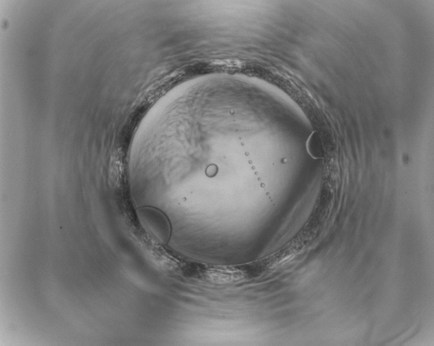 X0000088600707200706151801