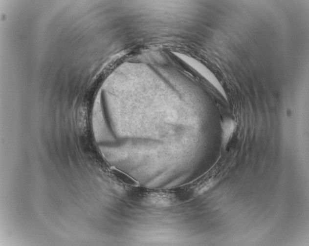 X0000088600708200706151801