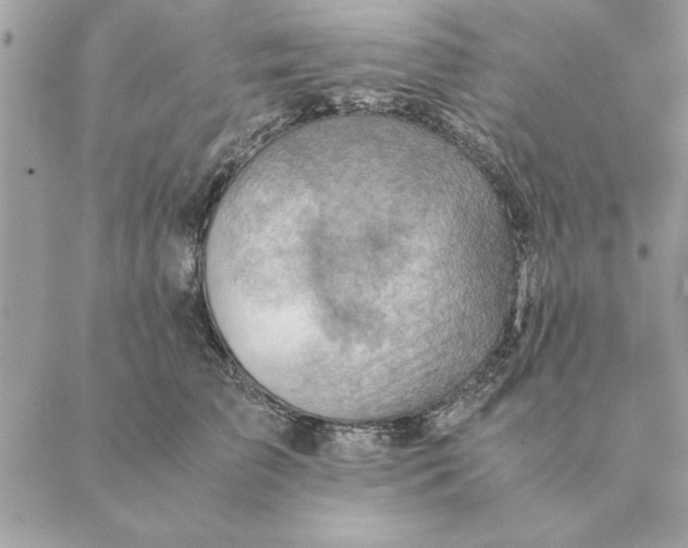 X0000088600709200706151801