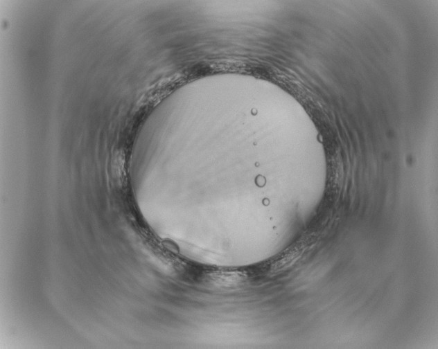 X0000088600711200706151801